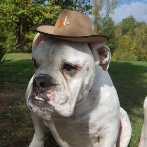 Meet your Posher, Patty